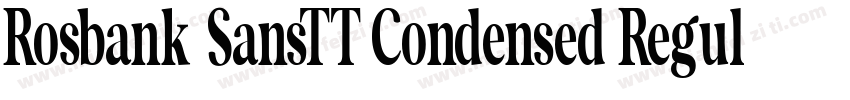 Rosbank SansTT Condensed Regular字体转换